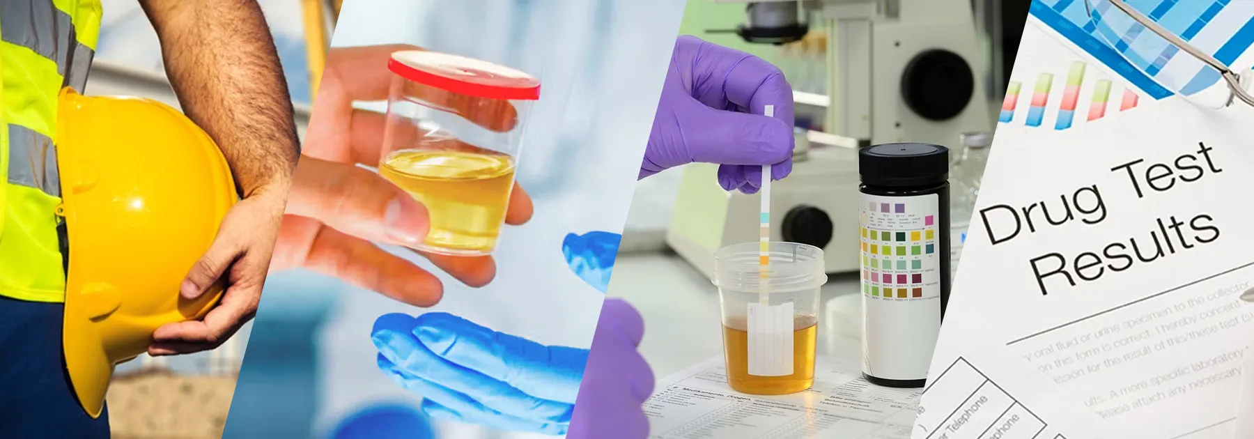 DOT and Non-DOT Drug Testing